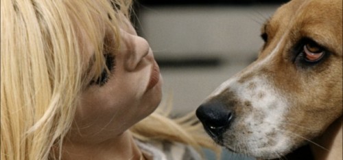 Brigitte-Bardot-défend-les-animaux